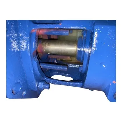 Used Sulzer / Ahlstrom 114 CAP 15 Pumps MX | MAQUINARIA PECUSA #1394352