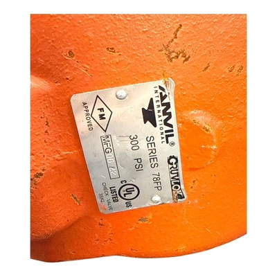 Used ANVIL _UNKNOWN_ Pump & Valve Parts MX | MAQUINARIA PECUSA #1464968