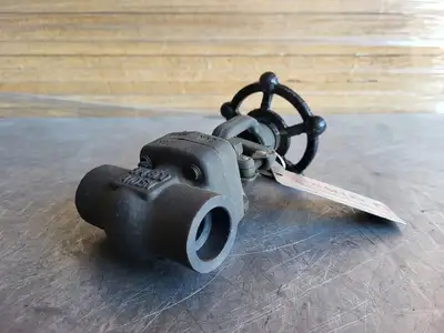 3/4" Class 800 Gate Valve B16.34