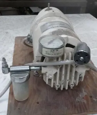 Mixer, Agitator, 1/3 HP, Whip-Mix, 115 Volt #S743503