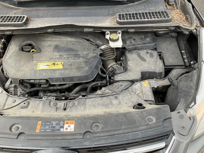 Used 2014 FORD ESCAPE SUVs Michigan US | Miedema Asset Management Group #1476779