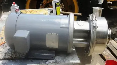 Pump, Sanitary, S/st, Thomsen, Tri Clamp, 5 Hp #S741765