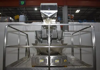 Apai bagger with 10 head scale