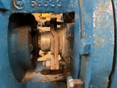 USED Goulds 3175