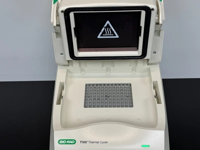 Used X 1861096 PCR/Thermal Cycler Missouri US | BioLabTek #1354976