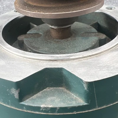 Used Reliance Electric P56H1338N A.C. Motors California US | Davliegogo LLC #1706624