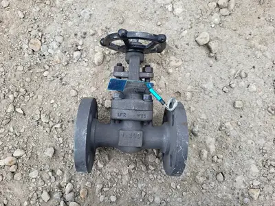 1" Class 300 Gate Valve API 602