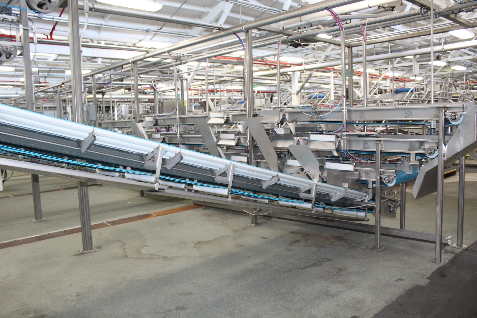 Filler Hopper Conveyor Feed 1