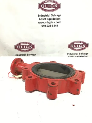 Bray ND4786/20-0600 92801-561 Lug Butterfly Valve 6″