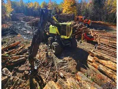2016 TIMBERPRO TF830C FORWARDER | Iron Listing (3)