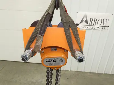 Vestil LOW-2P 1 Ton 2000Lb Chain Fall Hoist 9.8' Lift Push Trolley Low Headroom