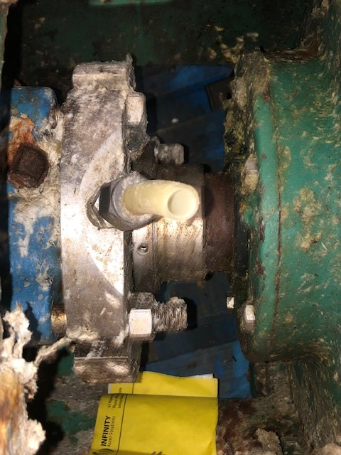 USED Goulds 3175