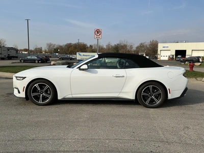 Used 2024 FORD MUSTANG Cars Michigan US | Miedema Asset Management Group #1579884