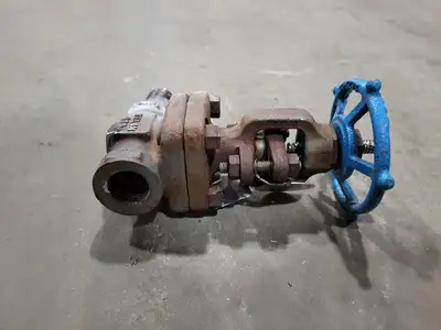 3/4" Class 800 Gate Valve B16.34