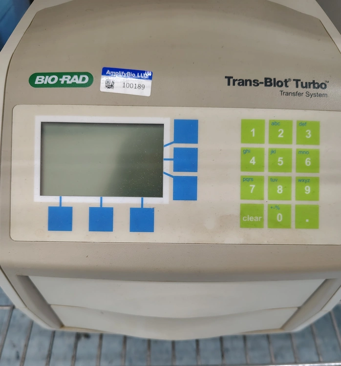 Used BIORAD _UNKNOWN_ Western Blotting California US | Biotech Equipment Sales #1464597