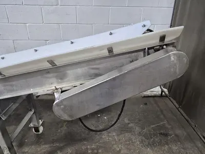 Incline Conveyor with Dump Tank