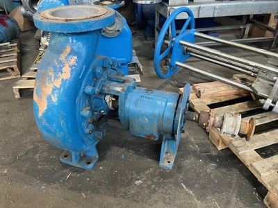 USED Goulds 3180