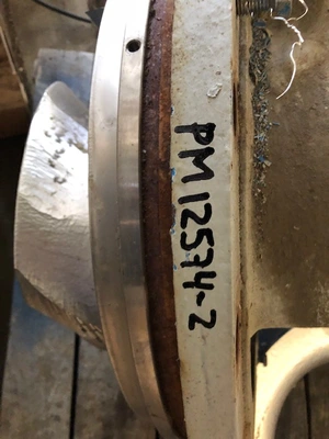 USED Goulds 3175
