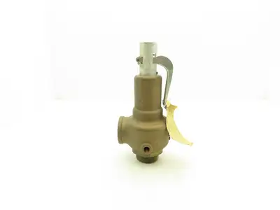 Conbraco 19-701-35 Bronze Safety Relief Valve 2"x 2" NPT 150psi Steam