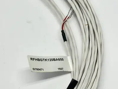 RFHBGTK120BA600 | Watlow  RTD Resistance Temperature Sensor - Used