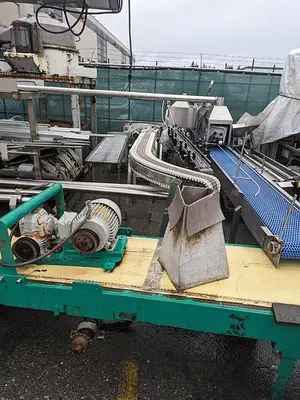 Pumpkin Squash Inspection & Cleaning Line