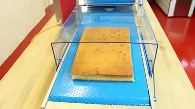KRUMBEIN | HS300 Horizontal Tabletop Slicer | Cake Slabber