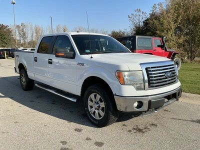 Used 2011 FORD F150 Pickup Trucks Michigan US | Miedema Asset Management Group #1568234