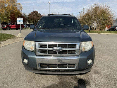 Used 2010 FORD ESCAPE Utility Vehicles Michigan US | Miedema Asset Management Group #1732718