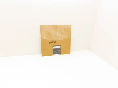 LECO 812-333 CAMEODISK Platinum 1 Prepolishing Disc 300mm Diameter Magnetic