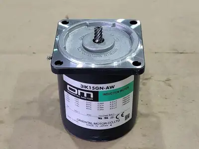 NEW ORIENTAL MOTOR CO 31K15GN-AW