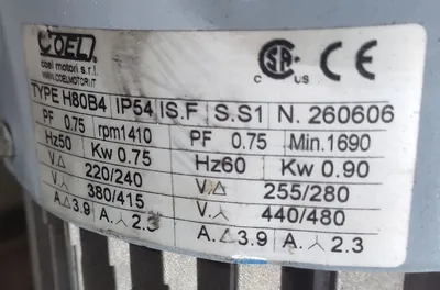 Alfa-Laval Complete 8-10 TPH Olive Oil Processing Line.