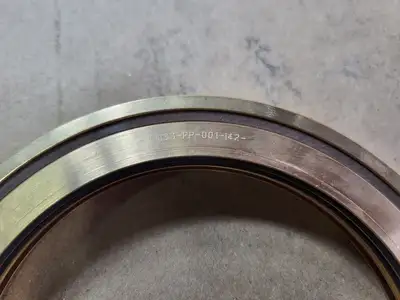 NEW AESSEAL L1I33-PP-001-I42