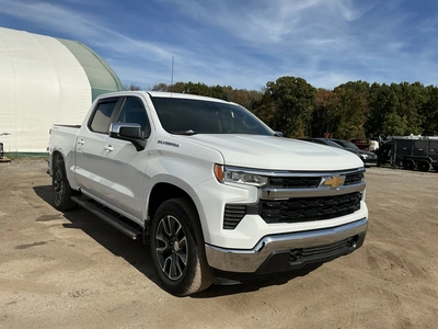 Used 2024 CHEVROLET SILVERADO 1500 Pickup Trucks Michigan US | Miedema Asset Management Group #1568324
