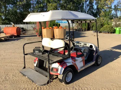 Used TEXTRON EZ-GO Golf Carts Michigan US | Miedema Asset Management Group #1483501
