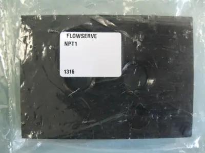 NEW Flowserve RBI125V