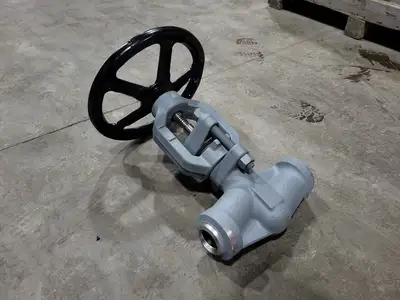 2" Class 1500 Globe Valve B16.34