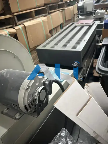 Thermotype