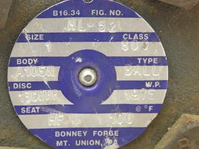 Bonney Forge HL-52  T-Style Steel Ball Check Valve 1" Socket 1975 PSI Class 800#
