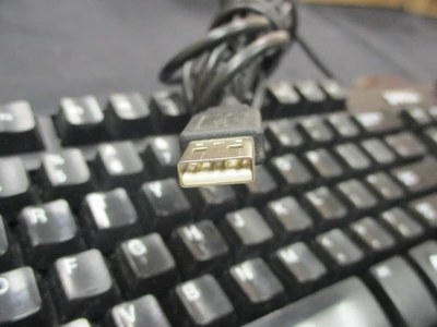 USED Dell L100