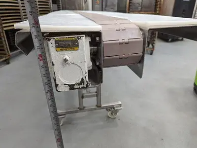 15' Packing Conveyor