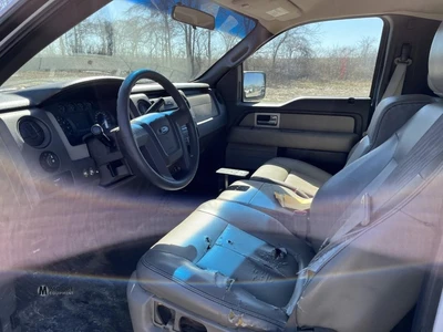 Used 2010 FORD F150 Pickup Trucks Tennessee US | Moore Equipment #1516695