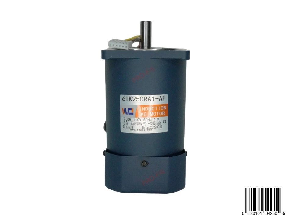 Motor 250W