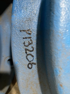 USED Goulds SRL