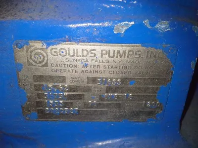 USED Goulds 3175