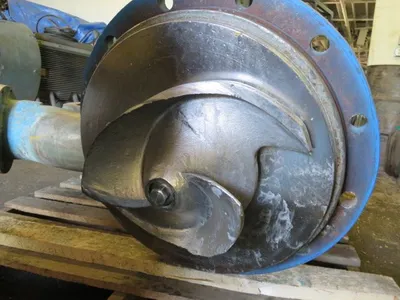 USED Goulds 3175