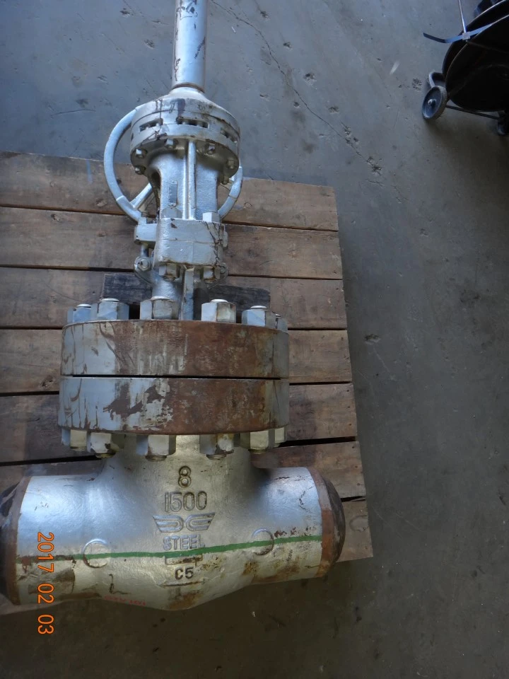 Takamisawa 8", Class 1500, C5, Gate Valve