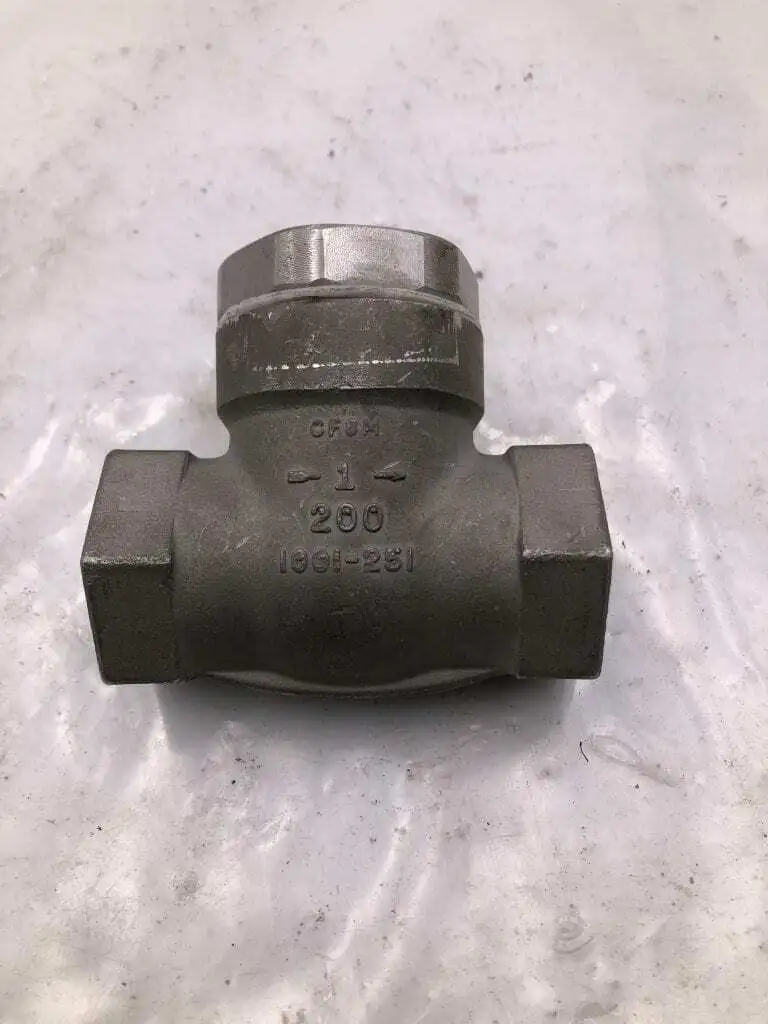Ladish 1001-251 1″ Stainless Steel Threaded Check Valve 200PSI CF8M