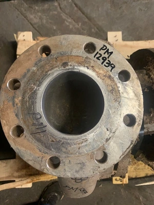 USED Goulds 3175