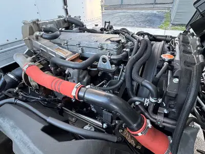 Used 2019 ISUZU NQR Reefer Trucks Florida US | Truck and Van Outlet #1509201