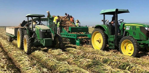New | in-Stock NICHOLSON MACHINERY LTD _UNKNOWN_ Self-propelled Harvesters Georgia US | Snap Equipment #1546430